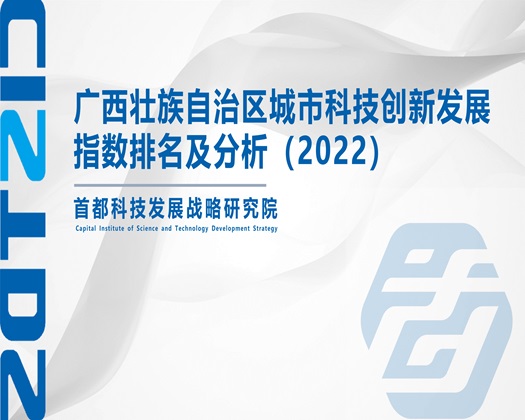 黄色日大黑逼视频免费看【成果发布】广西壮族自治区城市科技创新发展指数排名及分析（2022）